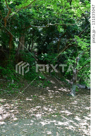 浜田城141 焔硝櫓の曲輪 浜田城141 焔硝櫓の曲輪 131835047