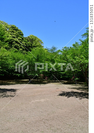 浜田城145 焔硝櫓の曲輪 131835051