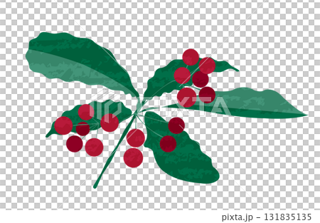 赤いマンリョウの実と葉っぱ 131835135