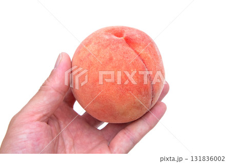 桃　もも 131836002