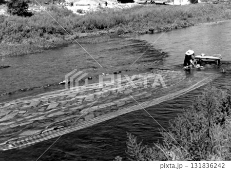 古写真 1956年 京都 鴨川の友禅流し 古写真 1956年 京都 鴨川の友禅流し 131836242
