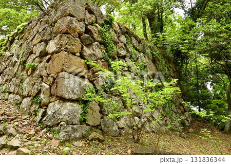 浜田城147 二の丸石垣 浜田城147 二の丸石垣 131836344