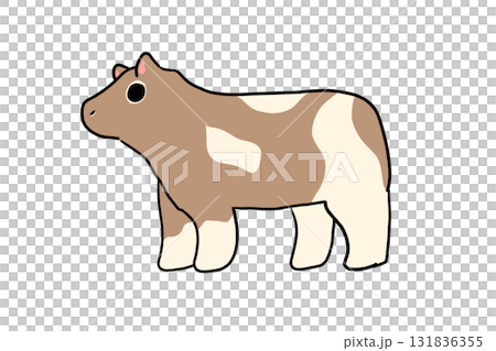 Fluffy Texas Tornado 131836355