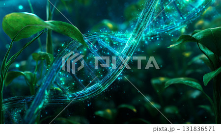 自然と科学の融合｜植物とDNAが織りなす生命工学イメージ 131836571