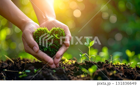 ハート型の苔を両手で持っている、地球や環境を考えるイメージ　AI生成素材 131836649