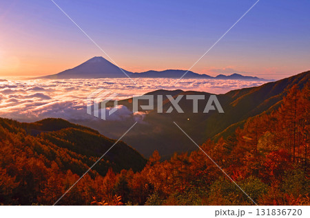 富士の雲海と紅葉 131836720