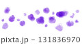 舞い散る紫の花びらあしらいイラスト 131836970