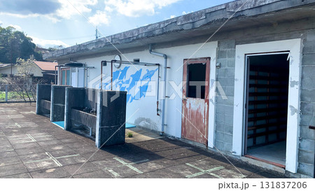 廃校の荒れ果てたプール 131837206