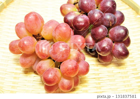 クイーンルージュ 131837581