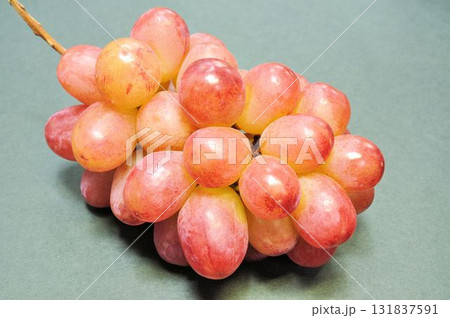 妃紅提 妃紅提 131837591