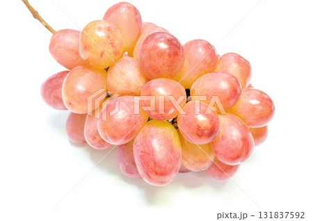 クイーンルージュ クイーンルージュ 131837592