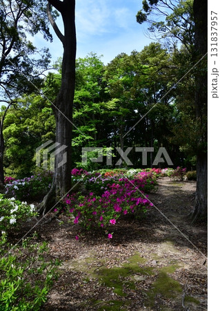 七尾城030 本丸 131837957