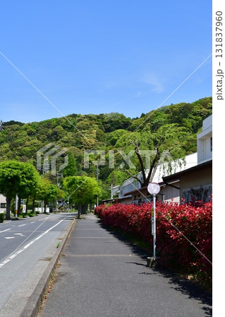 七尾城033 城山遠景 七尾城033 城山遠景 131837960
