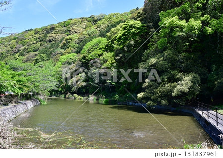 七尾城034 水濠 131837961