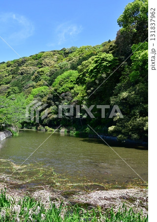 七尾城035 水濠 七尾城035 水濠 131837962