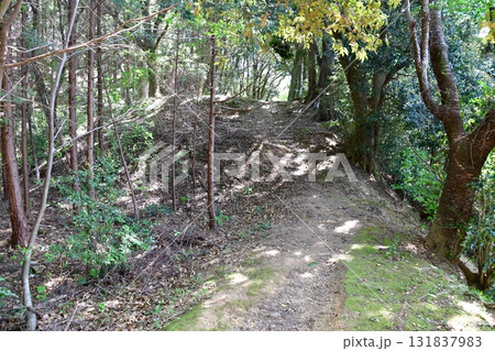 七尾城005  土塁、登山道 131837983