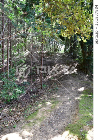 七尾城006  土塁、登山道 131837984
