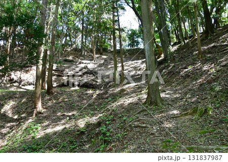 七尾城009  土塁、登山道 131837987