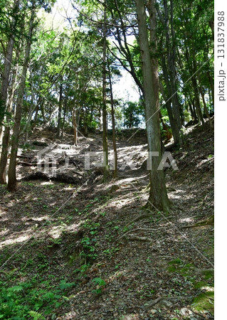 七尾城010 土塁、登山道 七尾城010 土塁、登山道 131837988