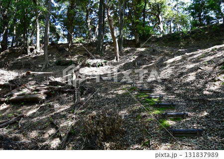 七尾城011 土塁、登山道 七尾城011 土塁、登山道 131837989