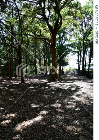 七尾城017 二の段 131837995