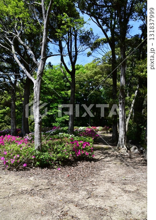 七尾城021 本丸 131837999