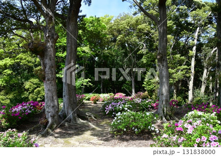 七尾城022 本丸 七尾城022 本丸 131838000