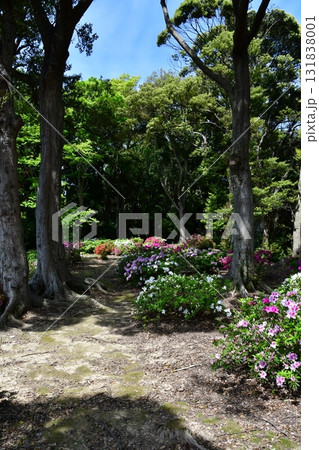 七尾城023 本丸 七尾城023 本丸 131838001