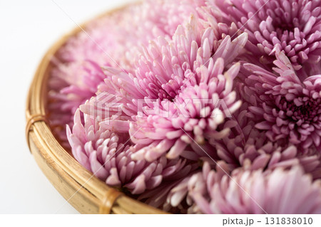 紫の食用菊のイメージ 131838010