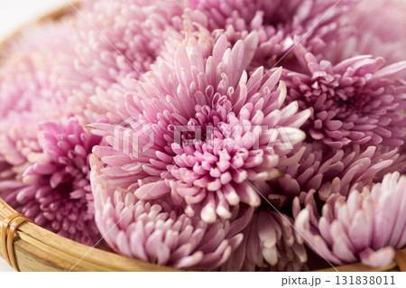 紫の食用菊のイメージ 紫の食用菊のイメージ 131838011