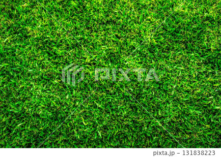 Bright green grass thrives in a sunny backyard, creating a cheerful environment for outdoor fun and leisurely moments Bright green grass thrives in a sunny backyard, creating a cheerful environment for outdoor fun and leisurely moments 131838223