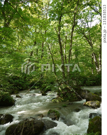 奥入瀬渓流の風景 131838513