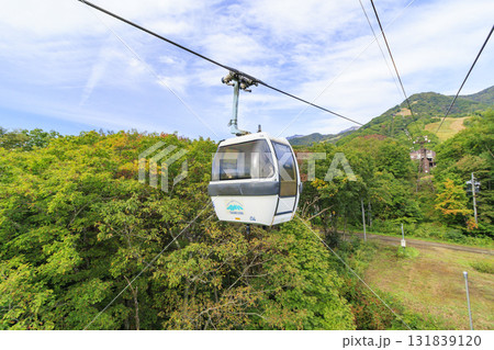 紅葉真っ盛りな栂池自然園 131839120