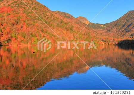 栃木県奥日光　湯ノ湖の紅葉 131839251