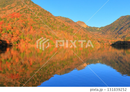 栃木県奥日光　湯ノ湖の紅葉 131839252