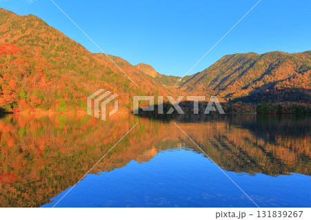 栃木県奥日光 湯ノ湖の紅葉 栃木県奥日光 湯ノ湖の紅葉 131839267