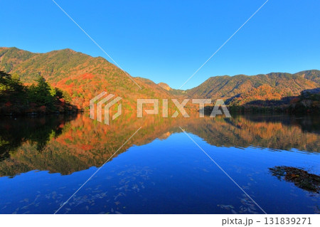 栃木県奥日光　湯ノ湖の紅葉 131839271