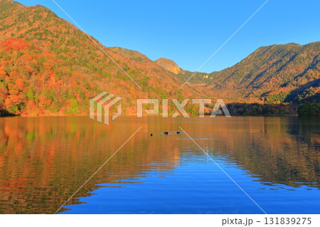 栃木県奥日光　湯ノ湖の紅葉 131839275