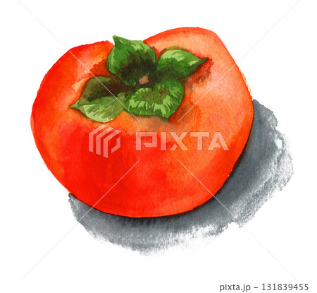 水彩で描いた柿251011pix7 131839455