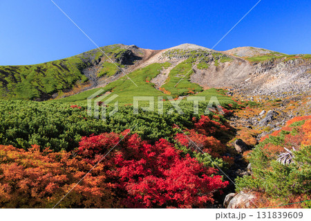 紅葉見頃な乗鞍 131839609
