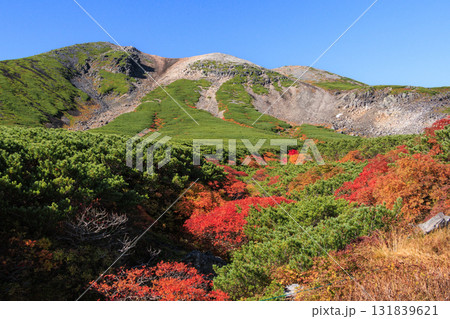 紅葉見頃な乗鞍 131839621