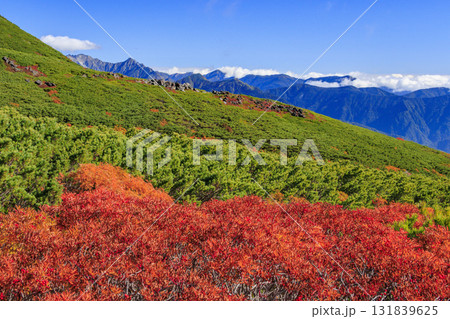 紅葉見頃な乗鞍 131839625