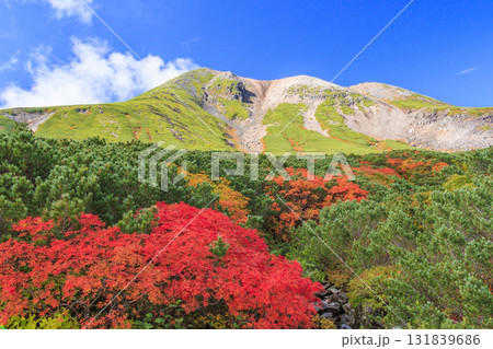 紅葉見頃な乗鞍 紅葉見頃な乗鞍 131839686