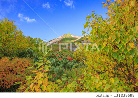 紅葉見頃な乗鞍 紅葉見頃な乗鞍 131839699