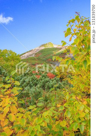 紅葉見頃な乗鞍 紅葉見頃な乗鞍 131839700