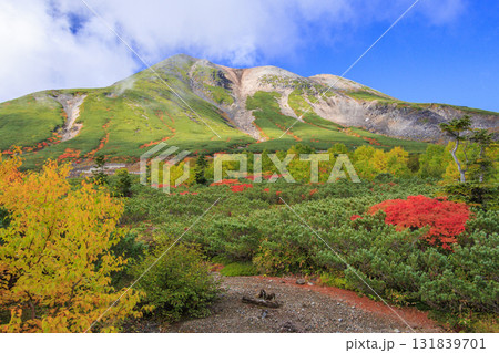 紅葉見頃な乗鞍 紅葉見頃な乗鞍 131839701