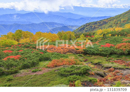 紅葉見頃な乗鞍 131839709