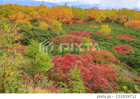 紅葉見頃な乗鞍 紅葉見頃な乗鞍 131839712