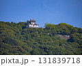 岩国城 131839718