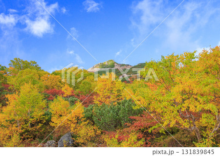 紅葉見頃な乗鞍 131839845